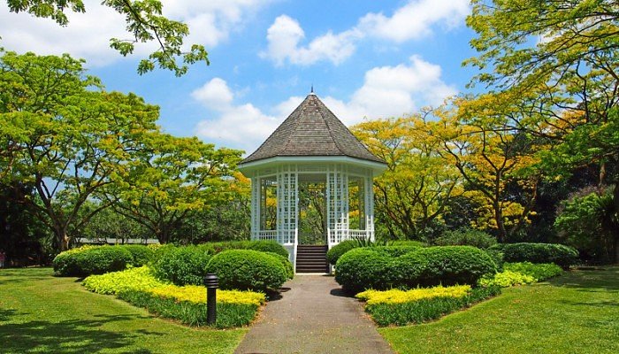 Exploring Singapore Botanic Gardens