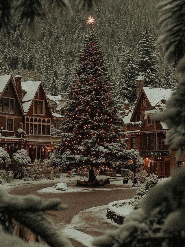 Top Places To Visit During Christmas