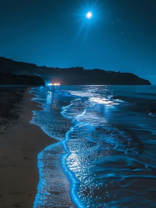 Magical Places That Glow at Night