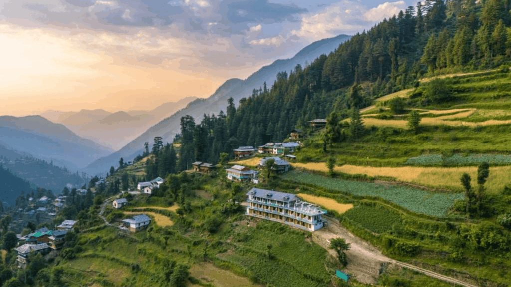 shoja village