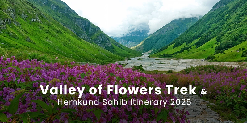 valley of flowers trek