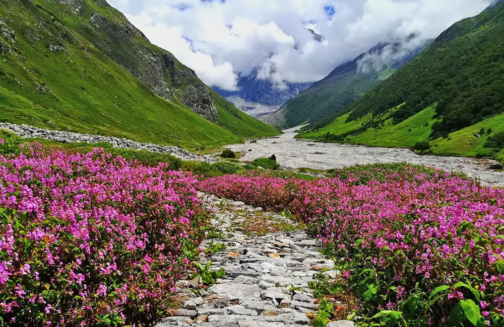 Valley of Flowers, Uttarakhand