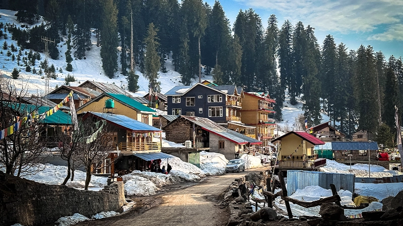 Manali Tour Packages