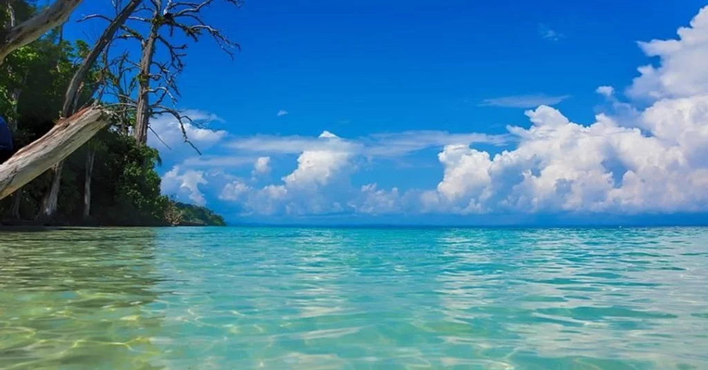 things to do in andaman