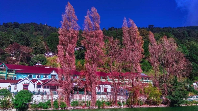 nanital tour packages