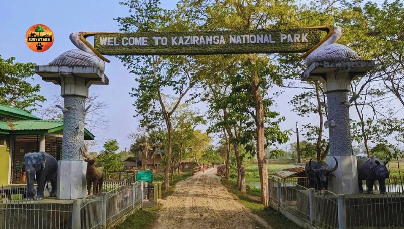 Kaziranga National Park – Assam