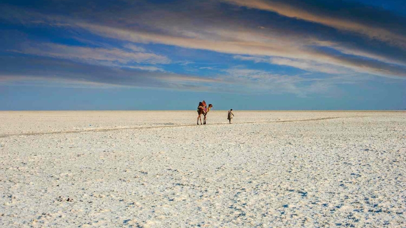 Rann of Kutch