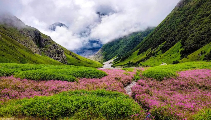 Valley of Flowers National Park – Uttarakhand