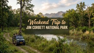 Weekend Trip to Jim Corbett National Park